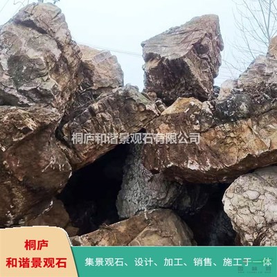 杭州千层石龟纹石 自然的印记与景观石的魅力
