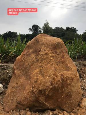 独石成景，意境园林 详解黄蜡石及其应用与销售